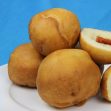 How to Make Sicilian Fried Dough Balls! Hilah Cooking