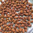 Masala peanut in Tamil – Masala kadalai recipe – Deep fried groundnuts – Spicy snack