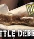 Deep Fried Little Debbie Treats